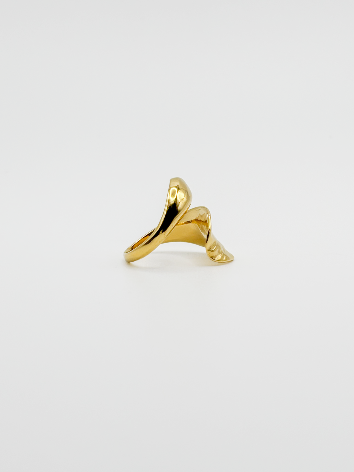 ANILLO DANIELA