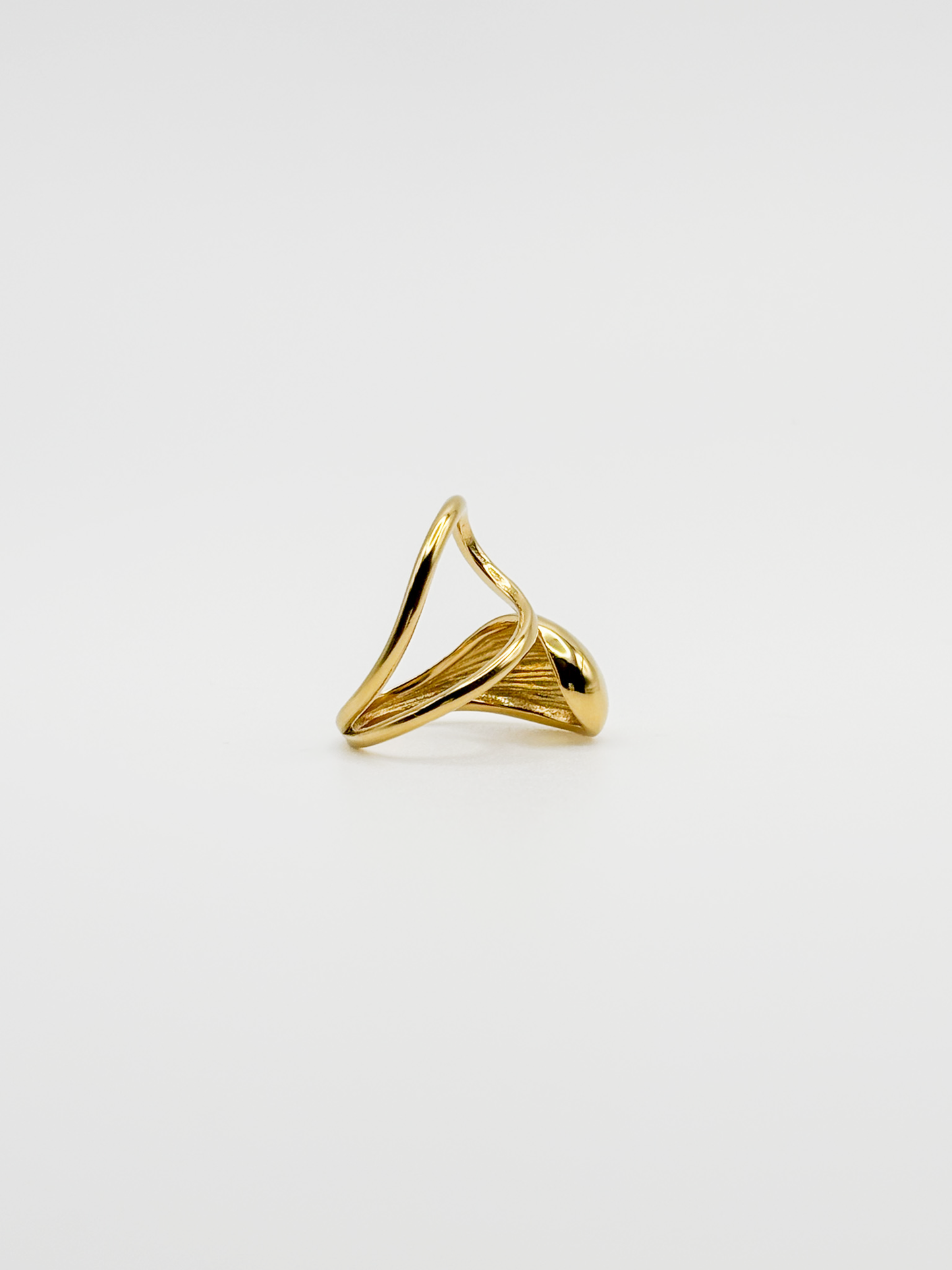 ANILLO ELOISA