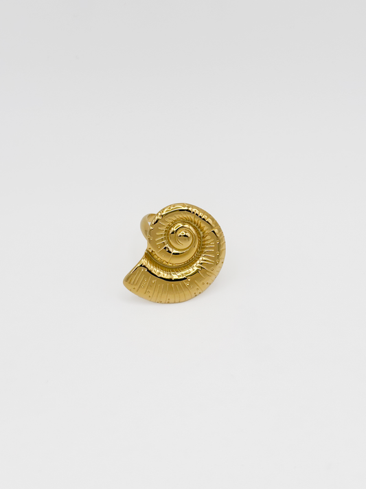 ANILLO CONCHA