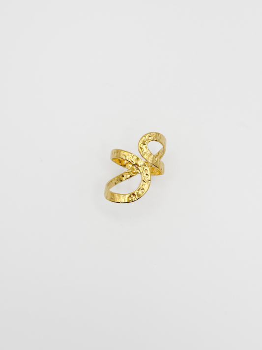 ANILLO PISCIS